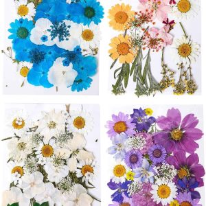 150 Pcs Real Dried Pressed Flowers: Craft Supplies & Materials