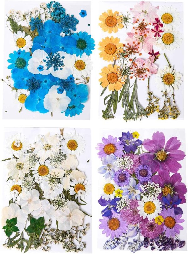 150 Pieces Real Dried Pressed Flowers for Craft Supplies & Materials,Dried Flowers for Resin Molds Silicone Kit Bundle